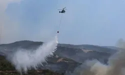 Orman yangınlarında bilanço belli oldu: 15 tutuklama