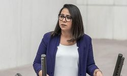 Serra Kadıgil'e soruşturma: İki ayrı suçtan inceleme