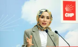 Sevgi Kılıç Kimdir, Kaç Yaşında, Nereli, Mesleği Ne, Eğitimi Nedir, Hangi Partiden, CHP'deki Görevi Ne, Neden YDK'ye Sevk Edildi, İhraç Edildi mi?