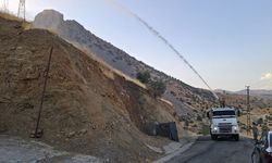 Şırnak'ta çıkan orman yangını kontrol altına alındı