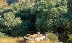 Şırnak'ta hafif ticari aracın şarampole devrildiği kazada 2 kişi yaralandı