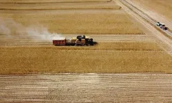 2026 Tarımsal Destek Ödemeleri Ne Zaman Yatacak, 195,6 Milyon Liralık Destek Kimlere Verilecek?
