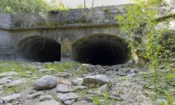 İngiltere'de 115 yıllık rekor: Tarihin en kurak temmuzu yaşandı