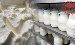 Bakanlık ifşa etti! Diyarbakır'da üretilen yoğurt kara listeye girdi