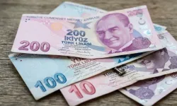 Yeni 5 TL ve 50 TL Farkı Ne? Boyutları Aynı Mı? Renkleri Değişti Mi? Önceki Banknotlar Geçerli Olacak Mı?