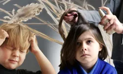 Süper bite karşı ailelere uyarı! Sıradan şampuanlar yetmiyor