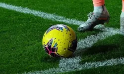 Amedspor teknik direktörü Besnik Hasi kimdir, hangi takımları çalıştırdı, sistemi ne, sözleşmesi kaç yıllık?
