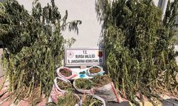 Bursa'da uyuşturucu operasyonunda 3 şüpheli yakalandı