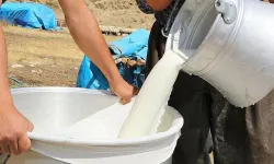 Çiğ süt maliyeti 28,50 TL'ye çıktı! Üretici zarar ediyor