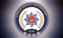 Kırmızı bültenle aranan DEAŞ'lı Çorum'da yakalandı