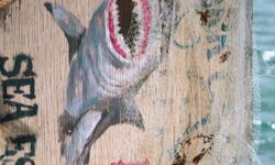 47 Meters Down nerede çekildi? Hikâyesi gerçek mi? Oyuncuları kimler? IMDb puanı kaç?