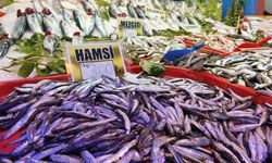 Ekim ayı balıkları hangileri, palamut ne zaman yenir, lüfer hangi ayda lezzetli, uskumru mevsimi ne zaman?