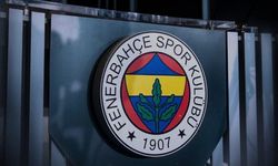Erdem Sezer kimdir, kaç yaşında, nereli, ne iş yapıyor, şirketi ne, yüzme kariyeri nasıl, Fenerbahçe’deki görevi ne?