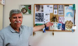 Prof. Dr. Rüstem Hayat kimdir? Keşfettiği sineğe neden oğlunun adını verdi, Orthonevra abdullahi nerede bulundu?