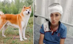 İzmir'deki köpek saldırısı davasında emsal karar: Hayvan sahibine 1,2 milyon TL tazminat şoku!