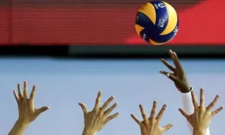 Polonya Hollanda maçı canlı yayını! Nereden izlenir? TRT Spor Yıldız’da mı, saat kaçta, internetten nasıl izlenir, ücretli mi?