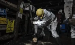 2026 TTK 61 daimi işçi alımı İŞKUR başvuru tarihleri ve kadroları