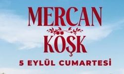 Mercan Köşk TAM KADRO OYUNCU VE KARAKTER LİSTESİ! Kim kimdir?