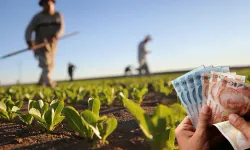 Üç ilde alın terinin karşılığı belli oldu: 2026 tarım işçisi yevmiyeleri açıklandı! İşte net rakam