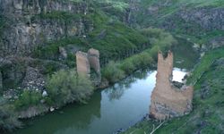 219 yıl önce yıkılmıştı! Türkiye ile Ermenistan sınırındaki tarihi köprü yeniden inşa edilecek