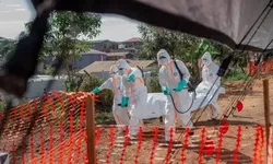 O salgın yeniden hortladı Afrika’yı kırıp geçiriyor...DSÖ’den açıklama üstüne açıklama