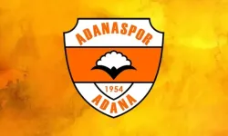 İş insanı Uğur Özdemir kimdir, kaç yaşında, şirketleri nerede, Adanaspor’un sahibi olacak mı?