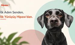 Hipaw, evcil hayvan bakımında doğrulama süreçlerini dijital hizmet modeline taşıyor
