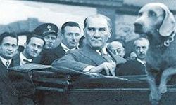 Atatürk'ün köpeğinin adı neydi? Foks kimdir, cinsi ne, nasıl öldü? Atatürk'ün köpekleri Alp ve Alber'in hikâyesi