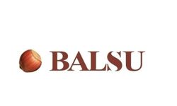 Yüksek faizli borcunu nakitle kapatan Balsu Gıda’da gözler sermaye artırımında
