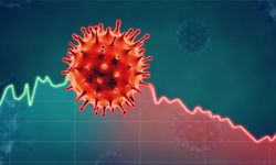 Bir ülkede Ebola virüsü paniği! Ebola virüsü nedir, Türkiye'de ebola virüsü riski var mı?