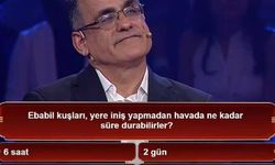 Ebabil kuşları kaç ay havada kalır? 10 ay uçabilir mi? Yere iner mi? Beyaz'la Joker sorusunun cevabı ne?