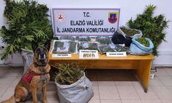 Elazığ'da uyuşturucu operasyonunda 3 şüpheli tutuklandı