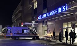 Erzincan'da balkondan düşen yaşlı kadın öldü