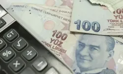 Bireysel Emeklilik Sistemi'nde son durum ne? Kitlesel çıkış var mı? DMM iddiaları yalanladı mı? Kaç sözleşme eklendi?