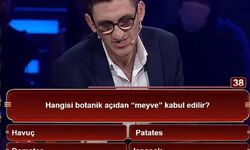 Hangisi botanik açıdan meyve kabul edilir? Beyaz'la Joker sorusunun cevabı domates mi, havuç mu, patates mi, ıspanak mı?