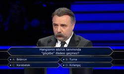 Hangisinin sözlük tanımında “göçebe” ifadesi geçmez? Bıldırcın, turna, karabatak, kırlangıç sorusunun cevabı