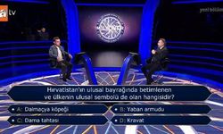 Hırvatistan bayrağındaki ulusal sembol nedir? Milyoner sorusunun doğru cevabı