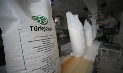 TÜRKŞEKER kura sonuçları isim listesi PDF nerede? 83 ve 99 işçi alımı sonuçları nasıl öğrenilir?