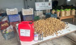 İncirimize göz diktiler! Kimyasal maddelerle beyazlatılan 3 ton incir yakalandı