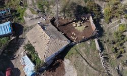 Kastamonu'da kurt baskını: 18 koyun telef oldu