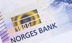 Norveç Varlık Fonu Tera Yatırım hissesi aldı mı, kaç hissesi var, oranı ne, Türkiye yatırımları ne kadar?
