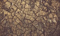 Pasifik kaynıyor: Tarihin en sert El Niño'su 347 milyon çocuğu açlık ve selin ortasında bırakacak