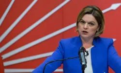 Selin Sayek Böke milletvekili mi? Hangi ilden seçildi? CHP'de hangi görevleri yaptı? Neden ihraç edildi?
