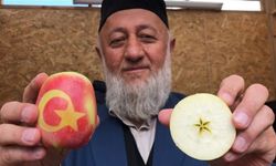 Türkiye’de sadece bir yerde yetişiyor! Raf ömrü yüksek ve coğrafi işaretli