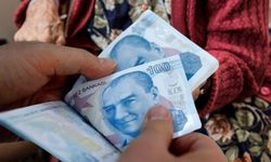 Vatandaşlık maaşı için gelir sınırı kaç TL , hane geliri nasıl hesaplanacak, kimler yararlanacak, başvuru nereden?