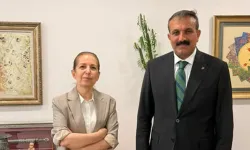 Vildan Satık kimdir, neden görevden alındı, kaç yaşında, nereli, yerine kim atandı, hangi görevlerde bulundu?