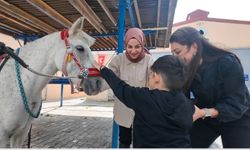 Atların ritmiyle yaşam kalitesi nasıl destekleniyor! Sorumluluk bilincini ve duyarlılığı güçlendiriyor! 20 hastayla bilimsel olarak incelendi!