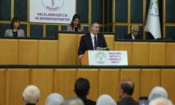 Bakırhan'dan barış ve siyasallaşma kurulu çağrısı "Beklemeye alınamaz"
