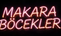 Makara Böcekler yaş sınırı kaç, çocuklar izleyebilir mi, hangi yaşa uygun?