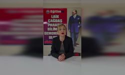 Yeliz Toy kimdir, nereli, kaç yaşında, mesleği ne, Eğitim-İş'te hangi görevde?